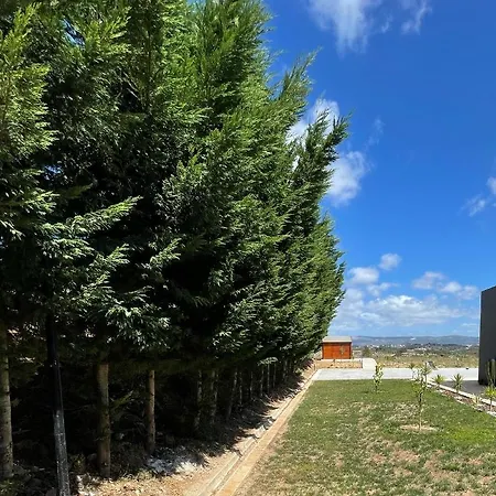 Entre Pomares * Alcobaça