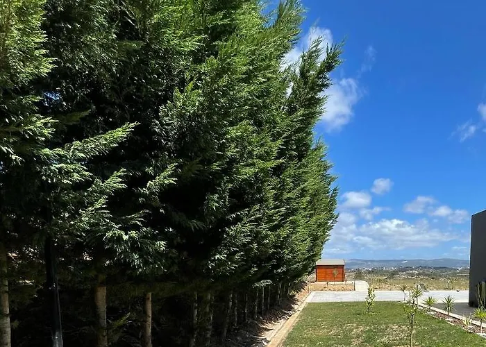 Entre Pomares * Alcobaça